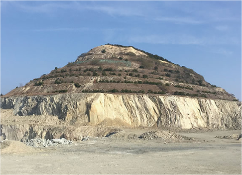 西島砕石工場の緑化法面